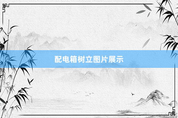 配电箱树立图片展示