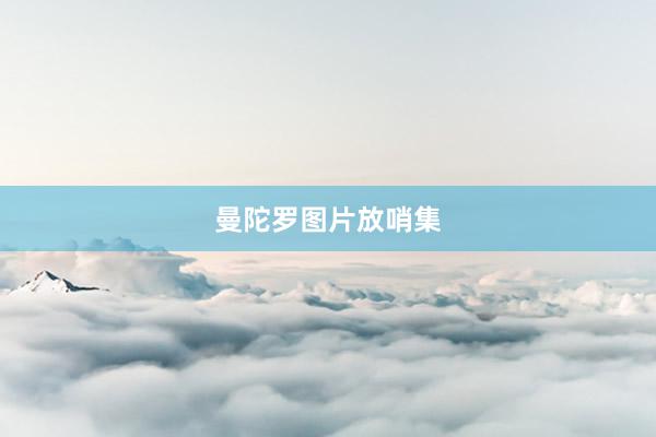 曼陀罗图片放哨集