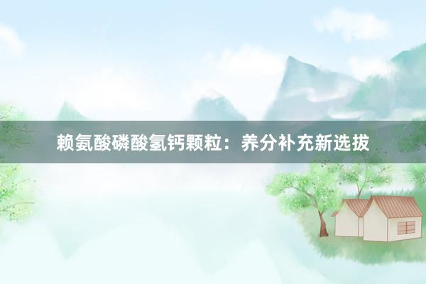 赖氨酸磷酸氢钙颗粒：养分补充新选拔